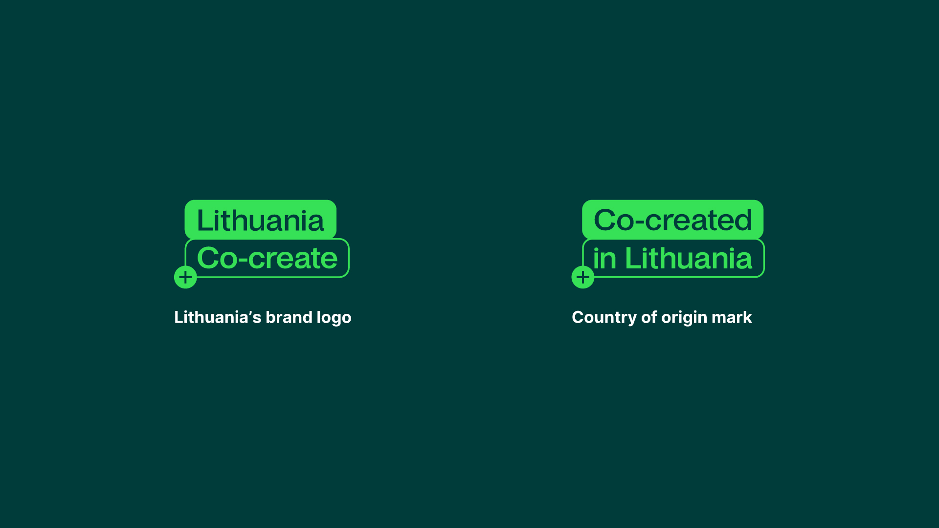Co-created_in_Lithuania_dear_problem_web_2_1920x1080px