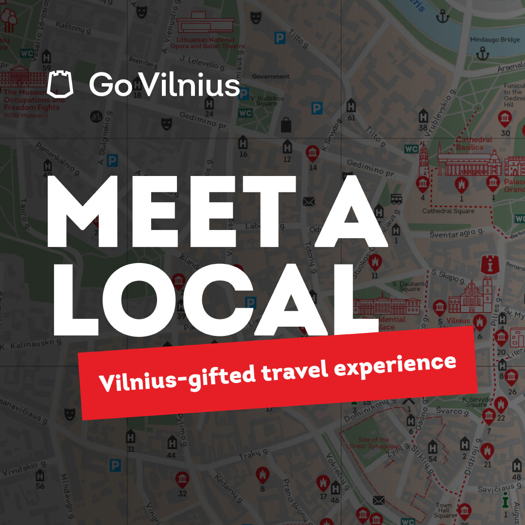 GO VILNIUS