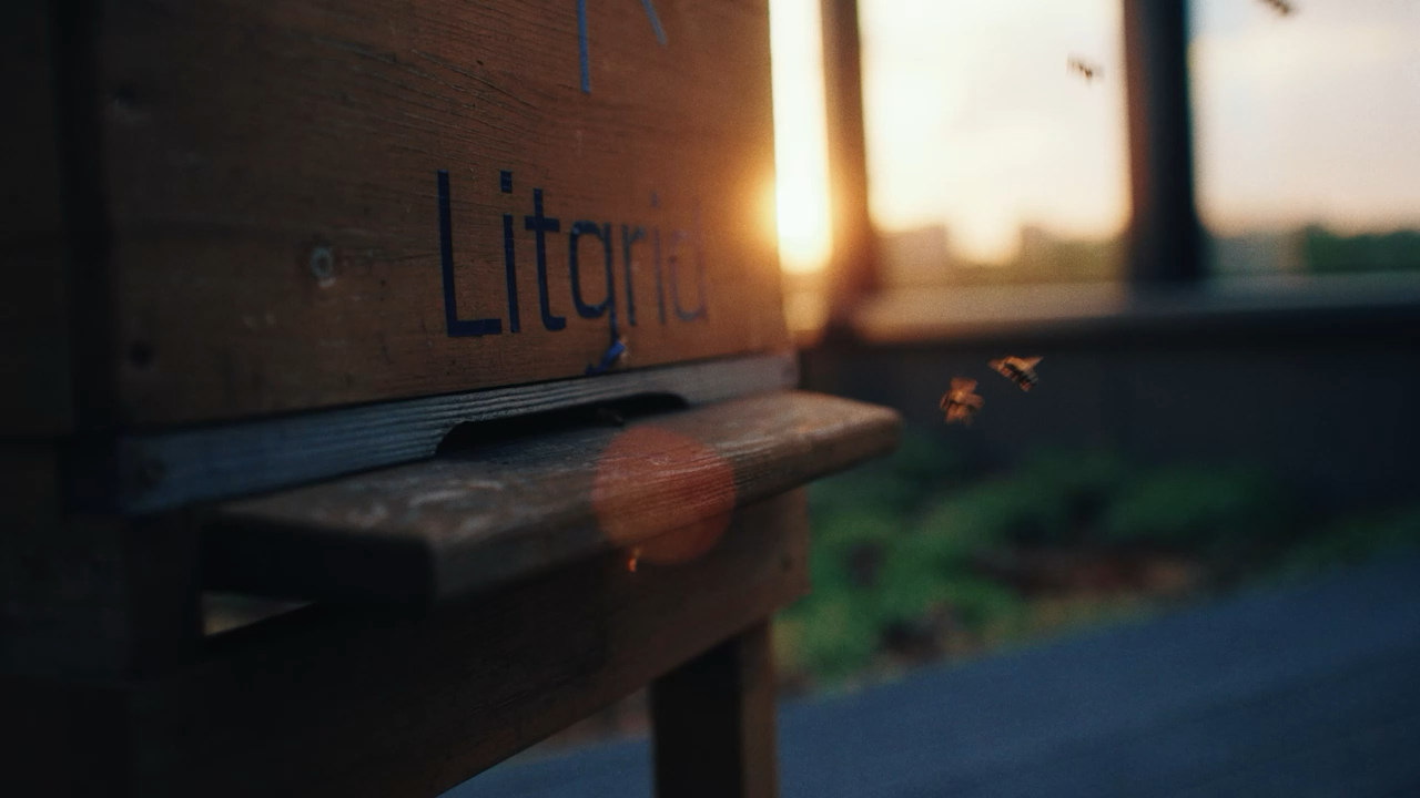 LITGRID