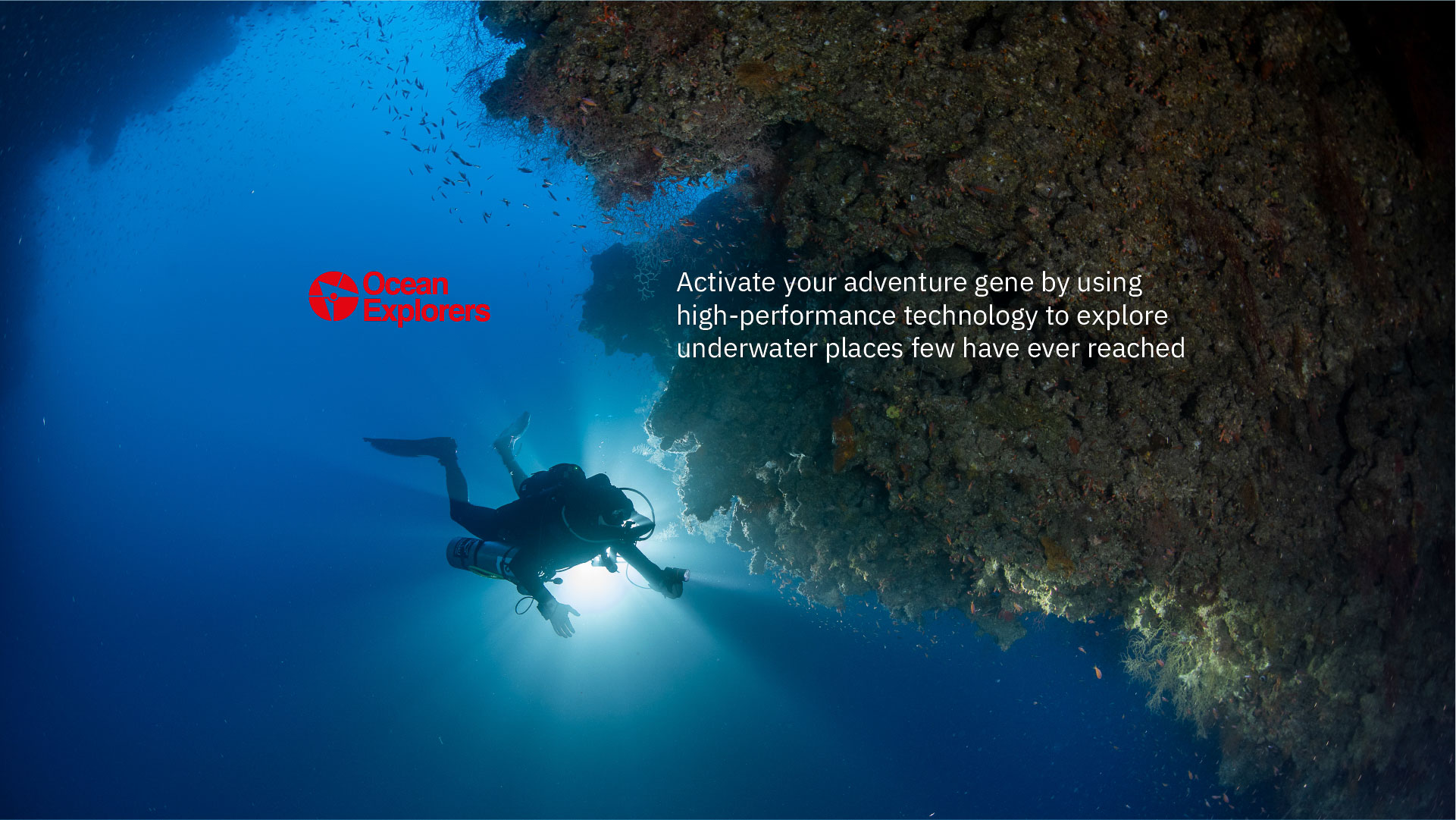 dear_Ocean_explorers