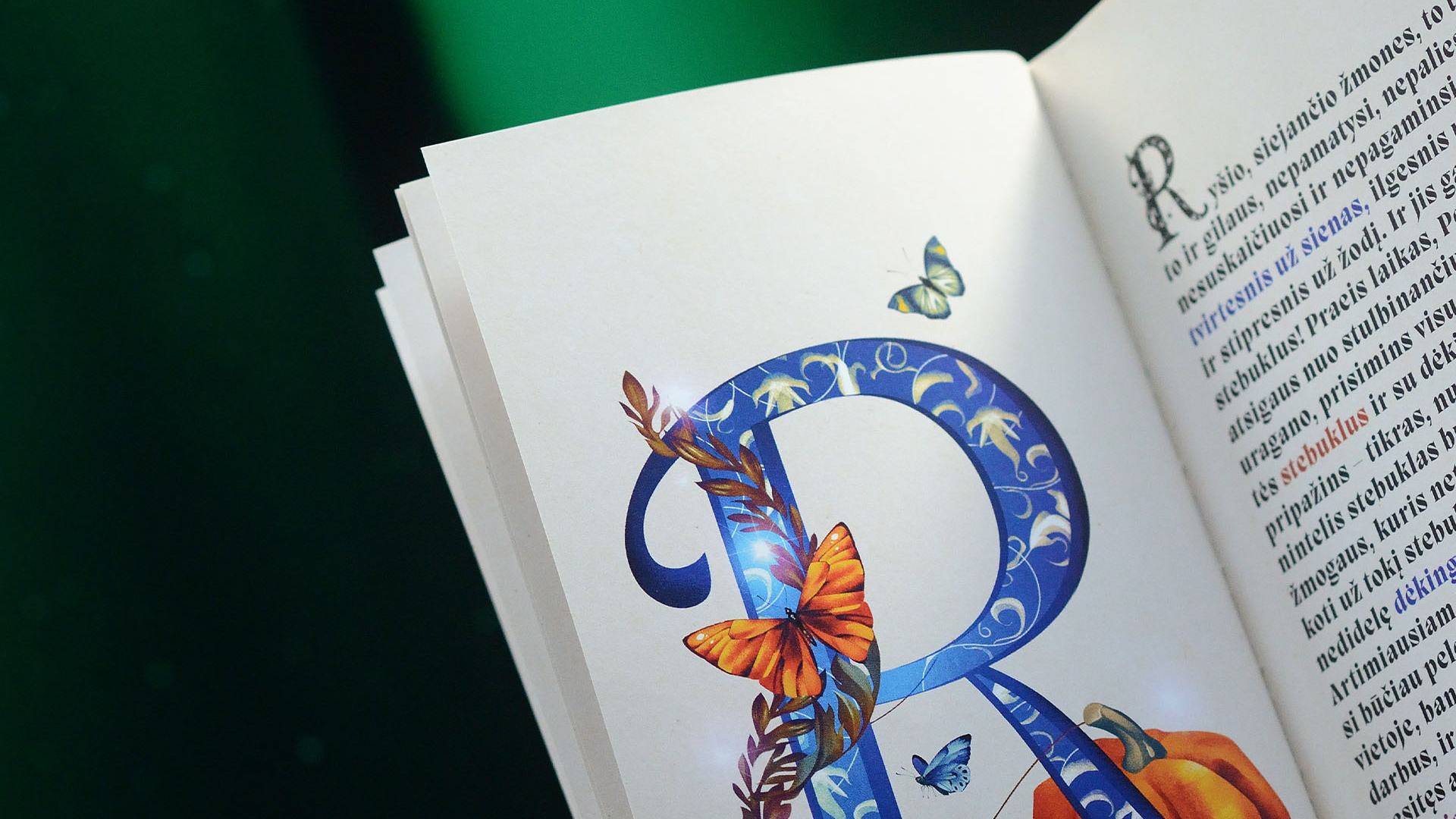 Close-up of an illustrated letter R in the Femina Bona Christmas catalogue
