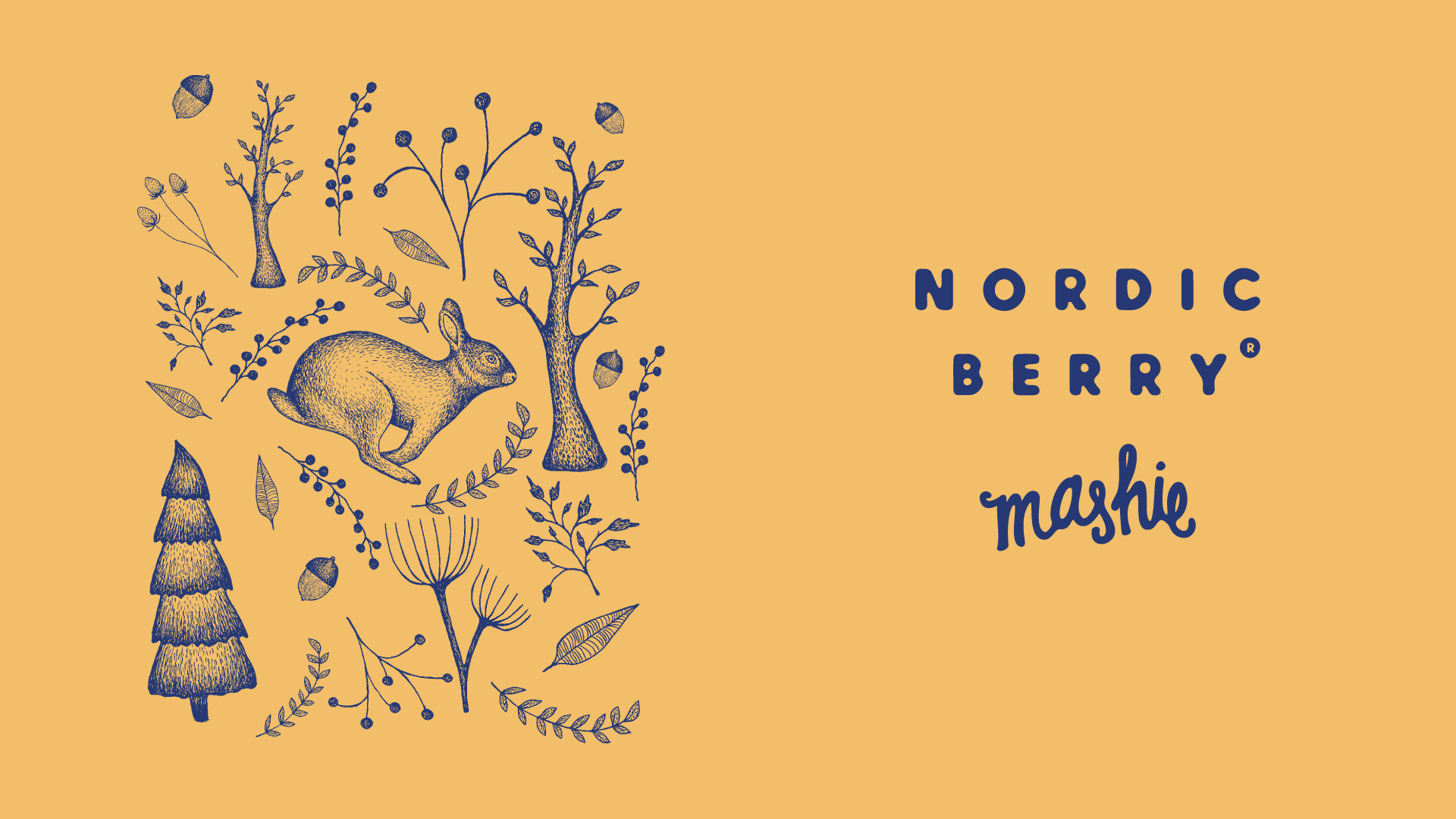 Dear problem Brand identity and Brand strategy Nordic Berry
