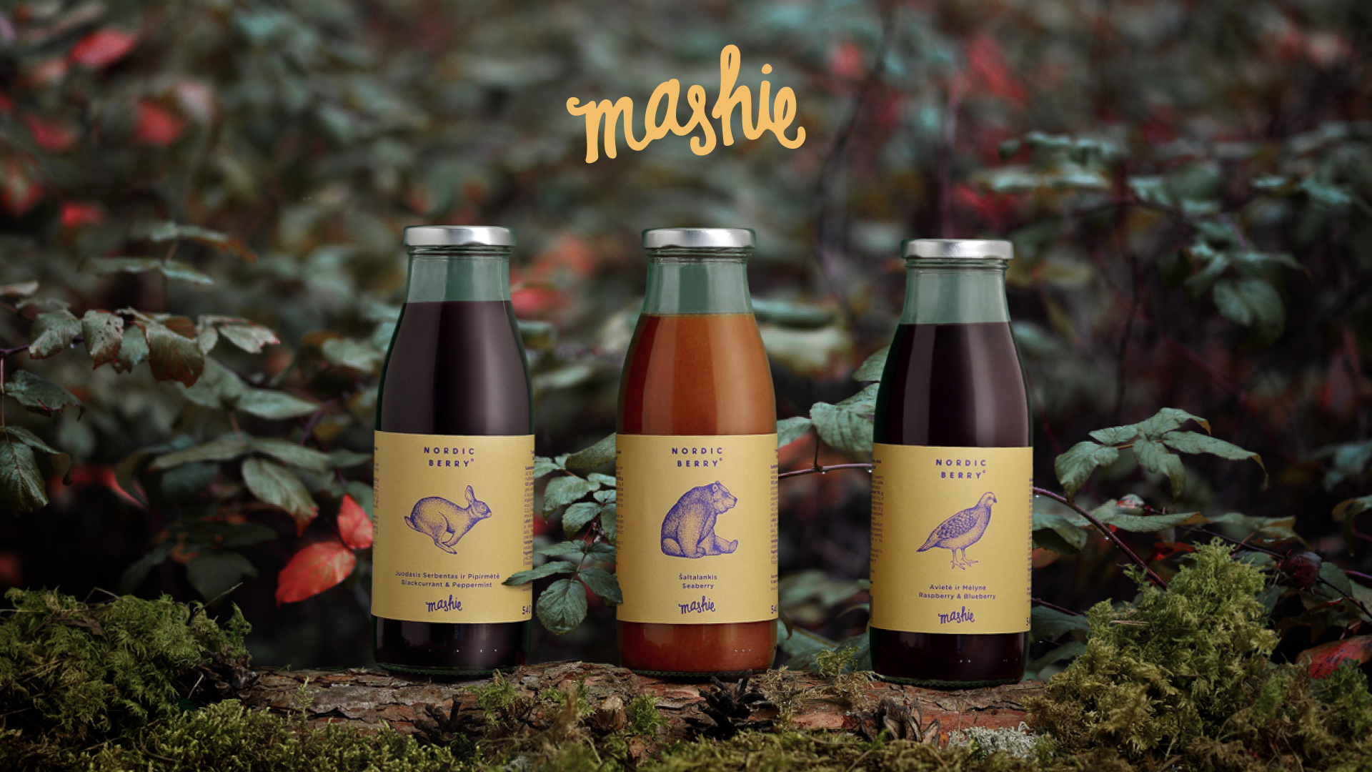 Dear problem Brand identity and Brand strategy Nordic Berry