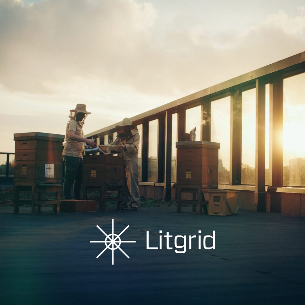 Litgrid